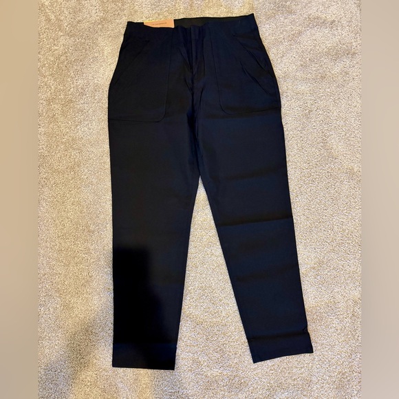 🆕 EDDIE BAUER Sightscape Horizon Slim Straight Ankle Pants - Picture 3 of 12